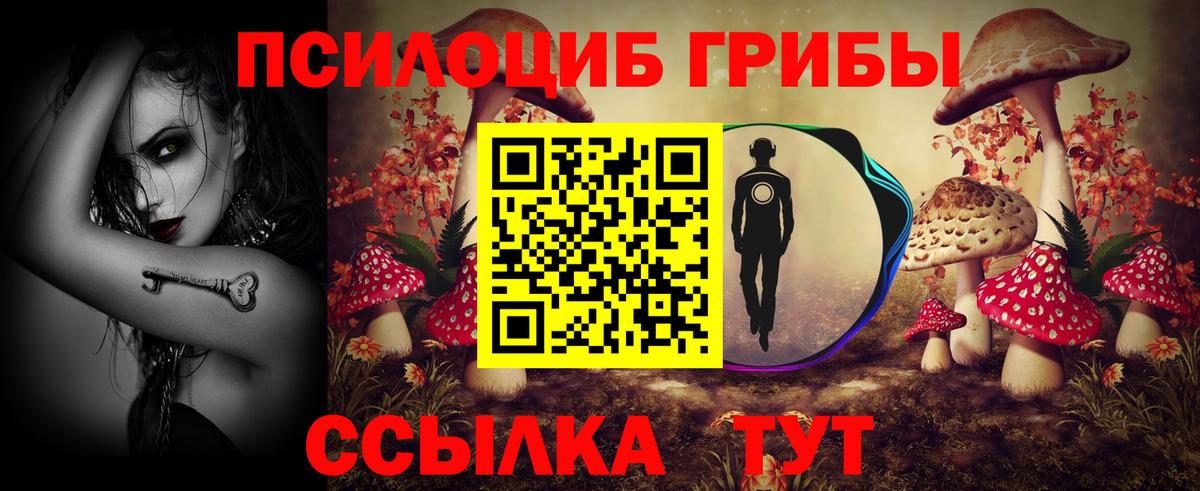 Галлюциногенные грибы Psilocybe Лысьва